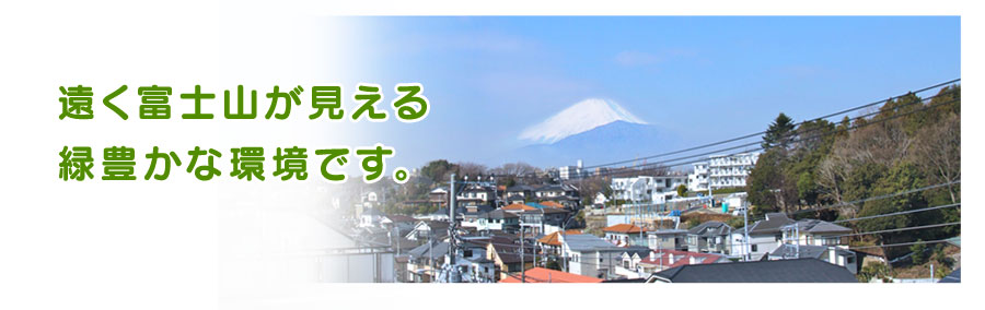 遠く富士山が見える　緑豊かな環境です